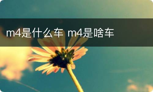 m4是什么车 m4是啥车