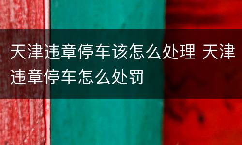 天津违章停车该怎么处理 天津违章停车怎么处罚