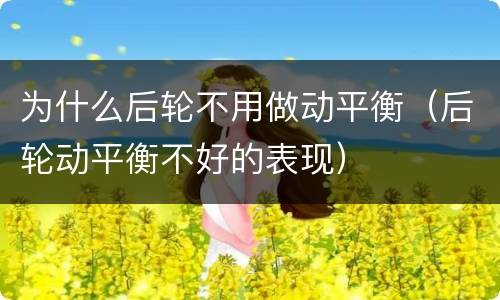为什么后轮不用做动平衡（后轮动平衡不好的表现）