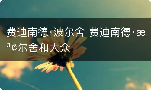 费迪南德·波尔舍 费迪南德·波尔舍和大众