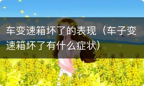 车变速箱坏了的表现（车子变速箱坏了有什么症状）