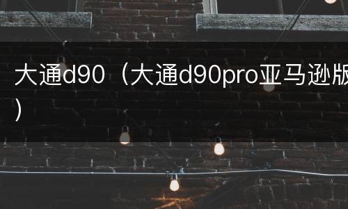 大通d90（大通d90pro亚马逊版）
