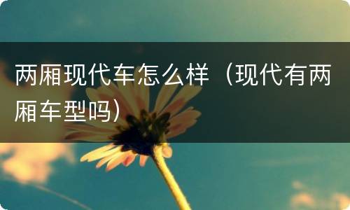两厢现代车怎么样（现代有两厢车型吗）