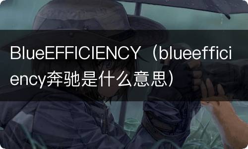 BlueEFFICIENCY（blueefficiency奔驰是什么意思）