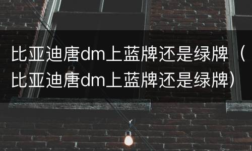 比亚迪唐dm上蓝牌还是绿牌（比亚迪唐dm上蓝牌还是绿牌）