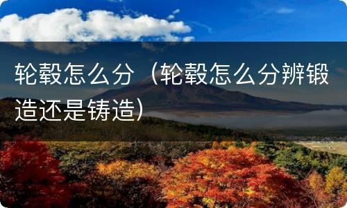 轮毂怎么分（轮毂怎么分辨锻造还是铸造）