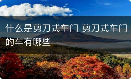 什么是剪刀式车门 剪刀式车门的车有哪些