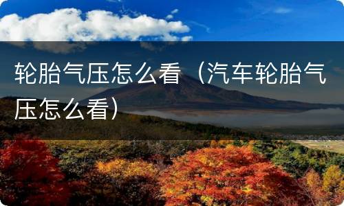 轮胎气压怎么看（汽车轮胎气压怎么看）