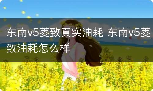 东南v5菱致真实油耗 东南v5菱致油耗怎么样