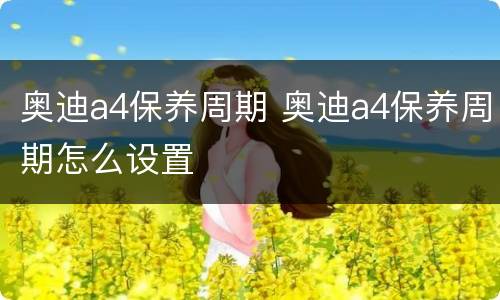 奥迪a4保养周期 奥迪a4保养周期怎么设置