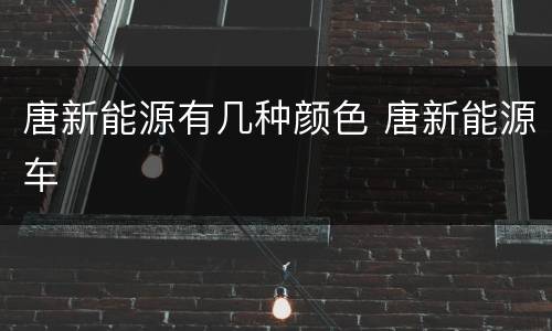 唐新能源有几种颜色 唐新能源车