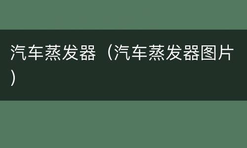 汽车蒸发器（汽车蒸发器图片）