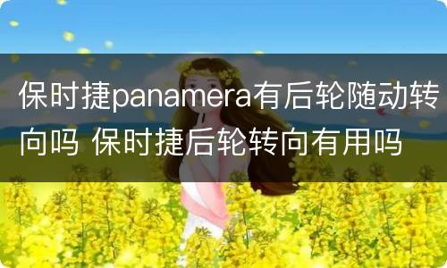 保时捷panamera有后轮随动转向吗 保时捷后轮转向有用吗