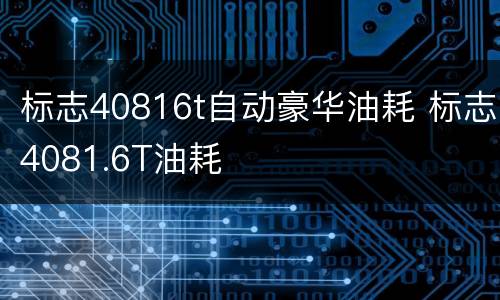 标志40816t自动豪华油耗 标志4081.6T油耗