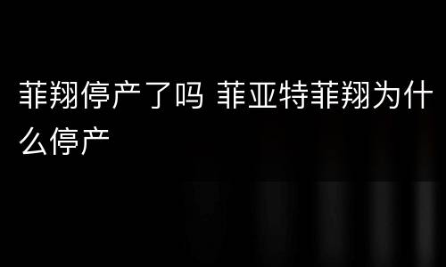 菲翔停产了吗 菲亚特菲翔为什么停产
