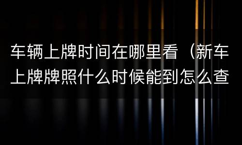 车辆上牌时间在哪里看（新车上牌牌照什么时候能到怎么查询）