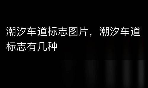 潮汐车道标志图片，潮汐车道标志有几种
