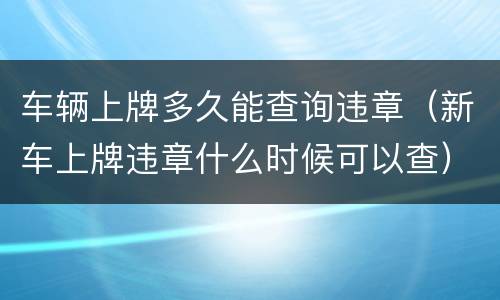 车辆上牌多久能查询违章（新车上牌违章什么时候可以查）