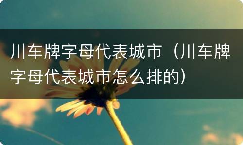 川车牌字母代表城市（川车牌字母代表城市怎么排的）