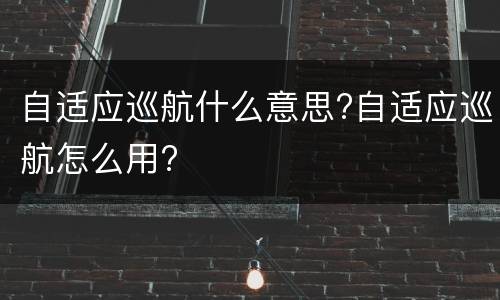 自适应巡航什么意思?自适应巡航怎么用?