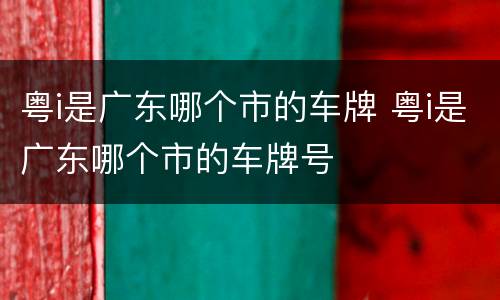 粤i是广东哪个市的车牌 粤i是广东哪个市的车牌号