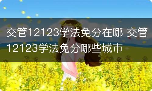 交管12123学法免分在哪 交管12123学法免分哪些城市