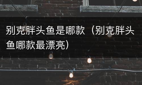 别克胖头鱼是哪款（别克胖头鱼哪款最漂亮）