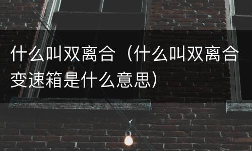 什么叫双离合（什么叫双离合变速箱是什么意思）