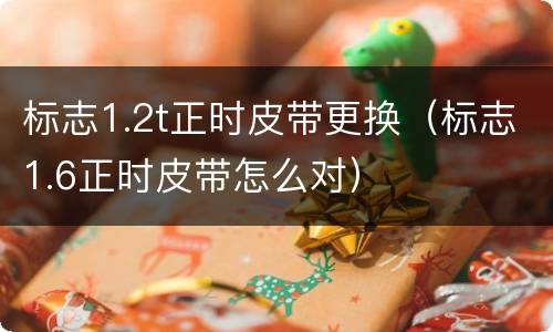 标志1.2t正时皮带更换（标志1.6正时皮带怎么对）