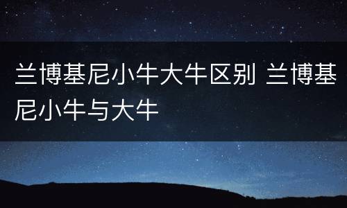 兰博基尼小牛大牛区别 兰博基尼小牛与大牛