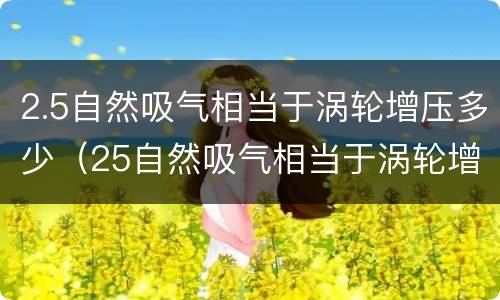 2.5自然吸气相当于涡轮增压多少（25自然吸气相当于涡轮增压多少）