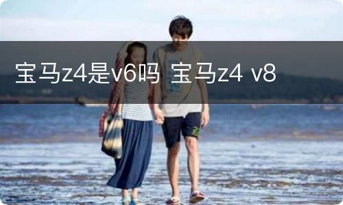 宝马z4是v6吗 宝马z4 v8