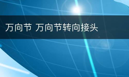 万向节 万向节转向接头