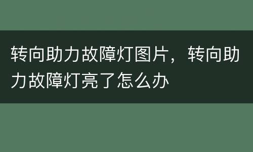 转向助力故障灯图片，转向助力故障灯亮了怎么办