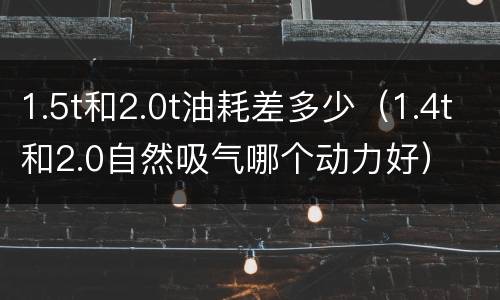 1.5t和2.0t油耗差多少（1.4t和2.0自然吸气哪个动力好）