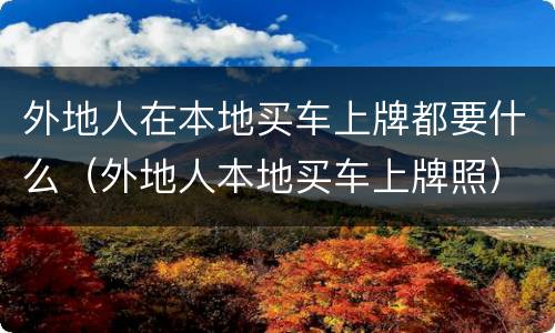外地人在本地买车上牌都要什么（外地人本地买车上牌照）