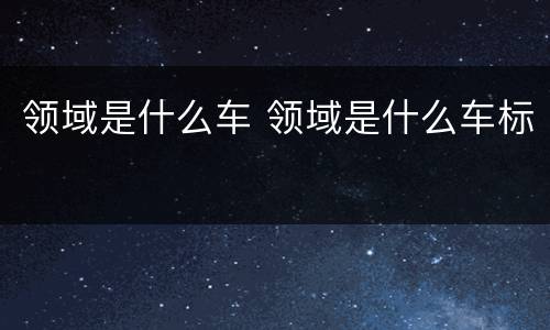 领域是什么车 领域是什么车标