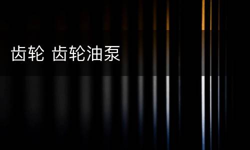 齿轮 齿轮油泵
