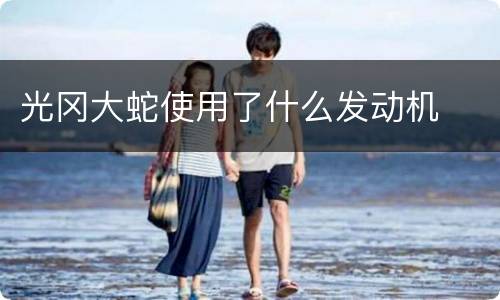 光冈大蛇使用了什么发动机