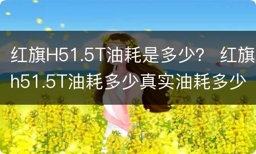 红旗H51.5T油耗是多少？ 红旗h51.5T油耗多少真实油耗多少