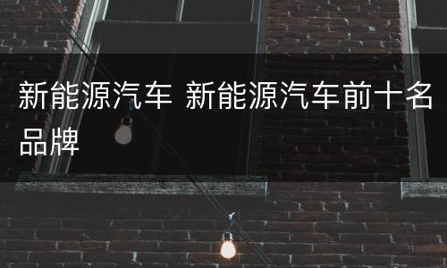 新能源汽车 新能源汽车前十名品牌