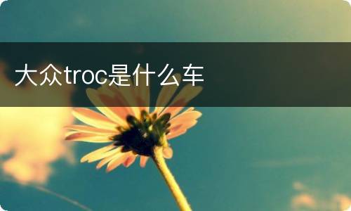 大众troc是什么车