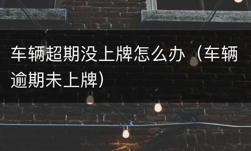 车辆超期没上牌怎么办（车辆逾期未上牌）
