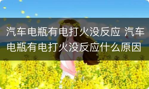 汽车电瓶有电打火没反应 汽车电瓶有电打火没反应什么原因