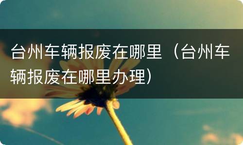 台州车辆报废在哪里（台州车辆报废在哪里办理）