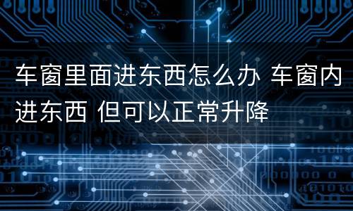 车窗里面进东西怎么办 车窗内进东西 但可以正常升降