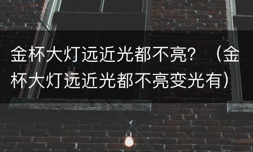 金杯大灯远近光都不亮？（金杯大灯远近光都不亮变光有）