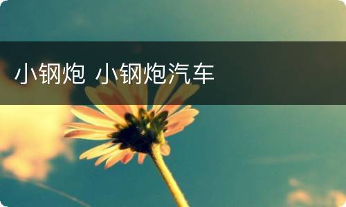 小钢炮 小钢炮汽车