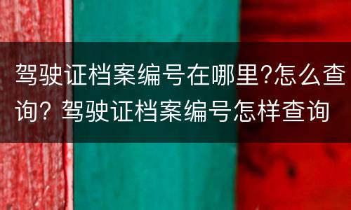 驾驶证档案编号在哪里?怎么查询? 驾驶证档案编号怎样查询