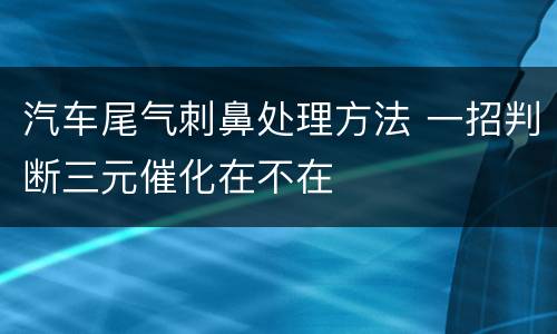 汽车尾气刺鼻处理方法 一招判断三元催化在不在